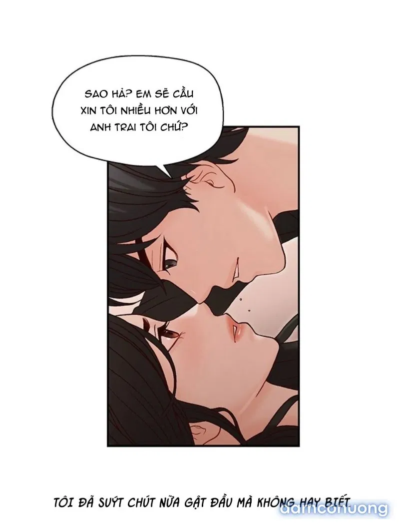 Thư Ký Của Anh Trai 
