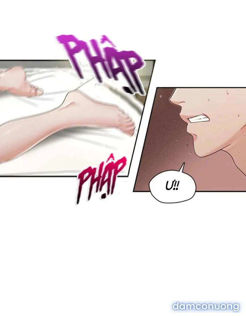 Thư Ký Của Anh Trai 