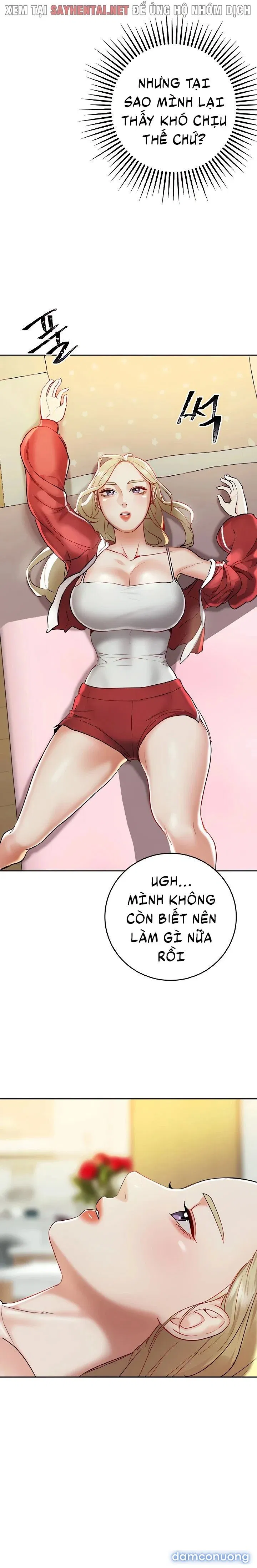 Đi Làm Gặp Harem 