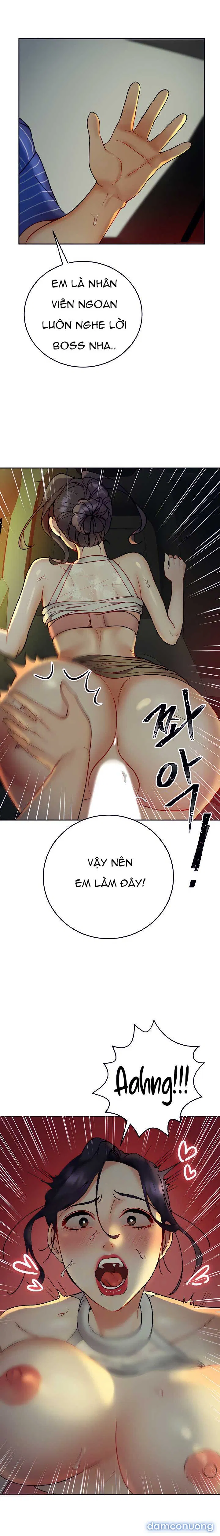 Đi Làm Gặp Harem 