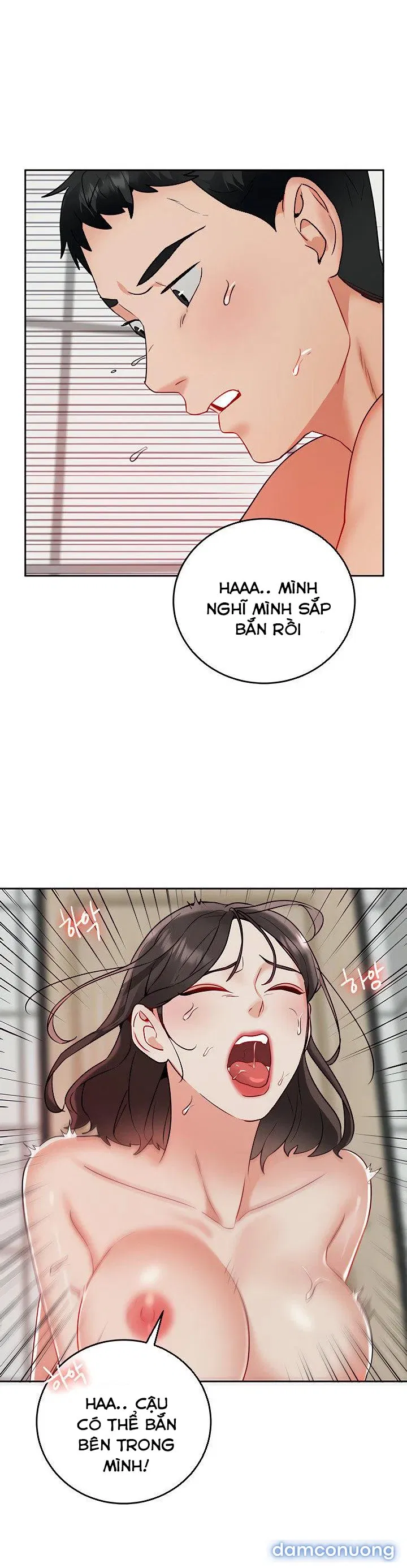 Đi Làm Gặp Harem 