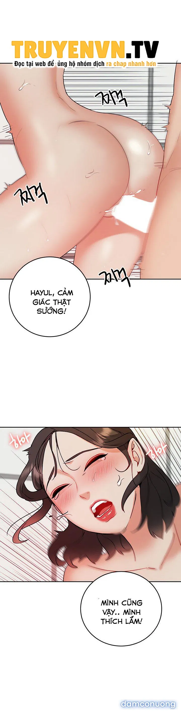 Đi Làm Gặp Harem 