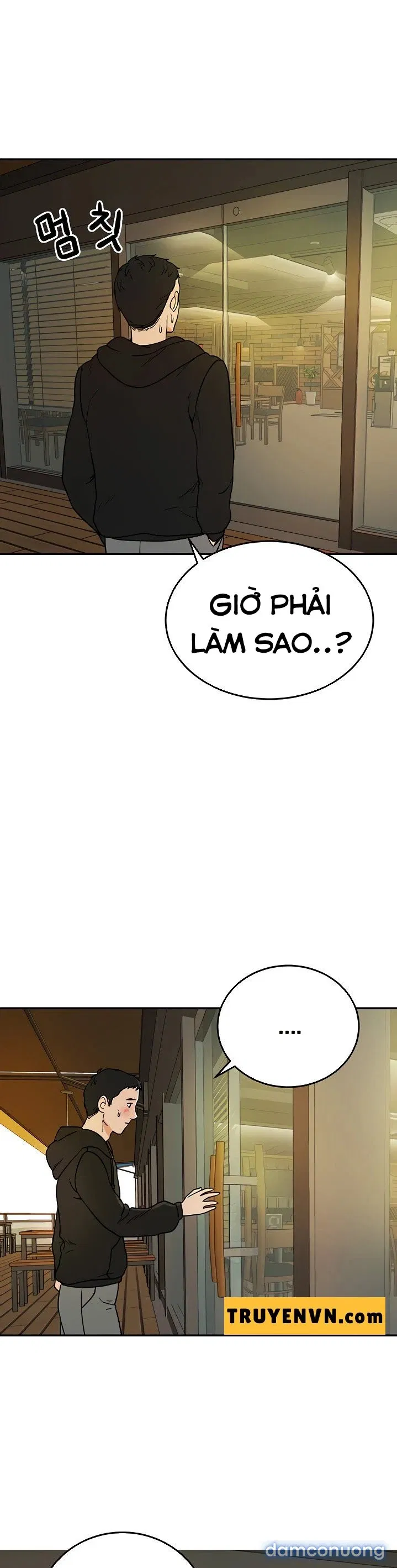 Đi Làm Gặp Harem 
