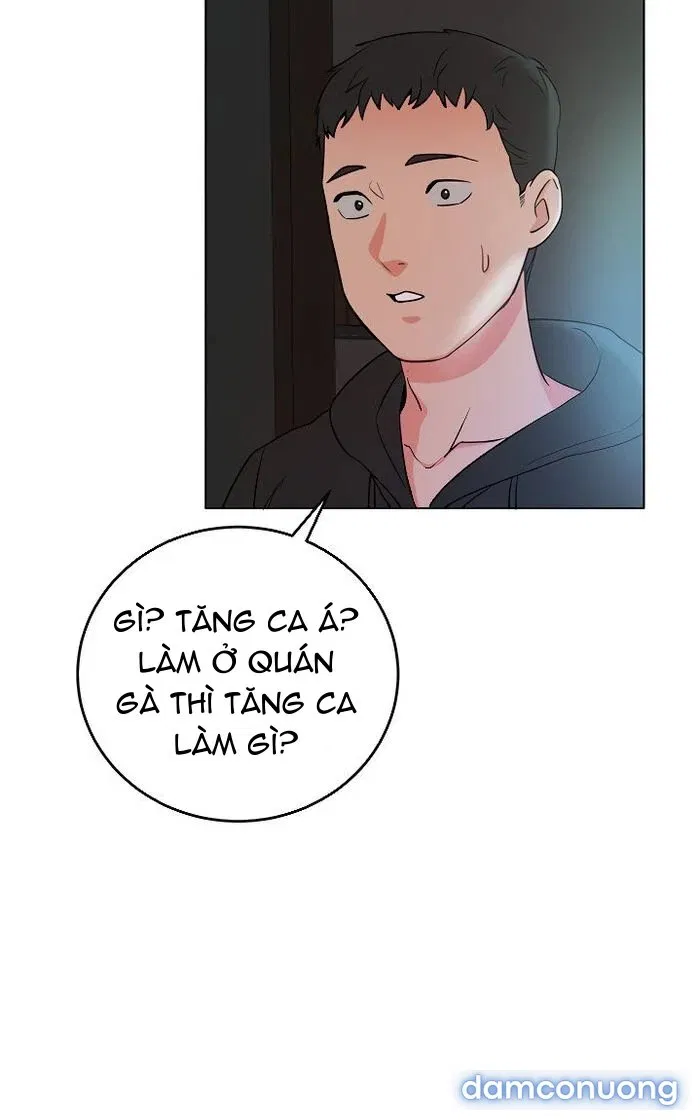 Đi Làm Gặp Harem 