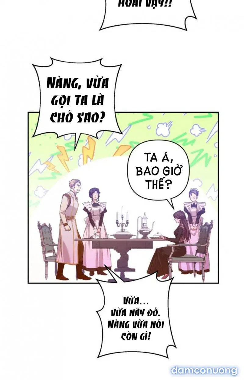Hãy Giết Chồng Tôi Đi 