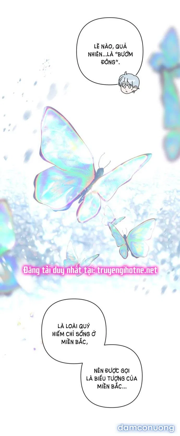 Hãy Giết Chồng Tôi Đi 