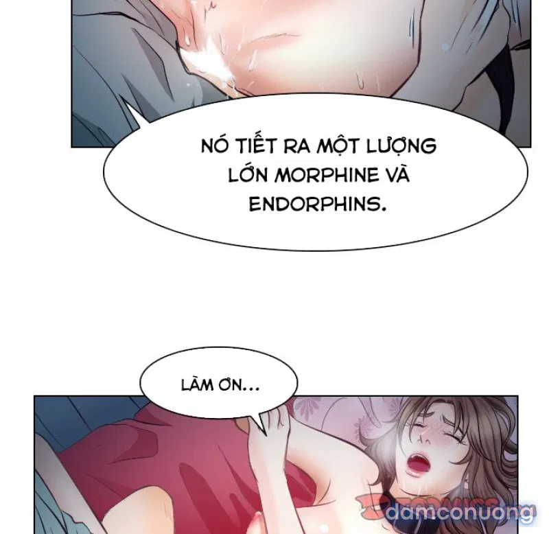 Lòng chung thủy 