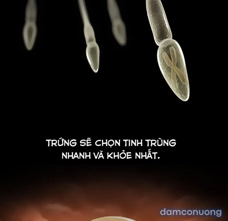 Lòng chung thủy 