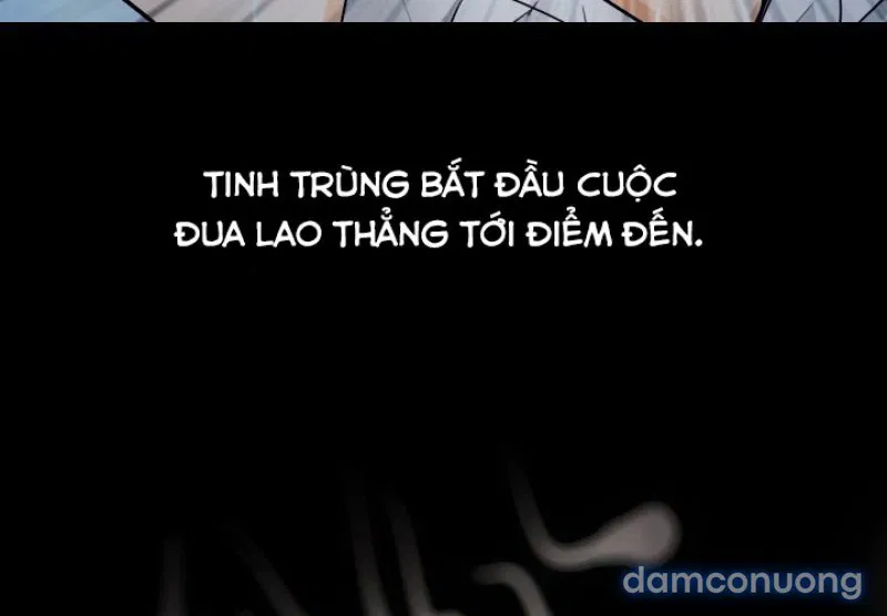 Lòng chung thủy 