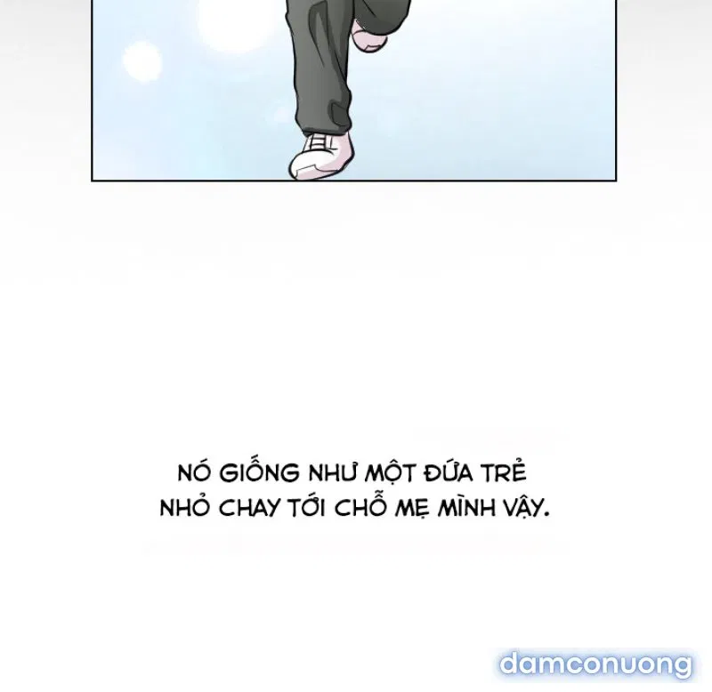 Lòng chung thủy 