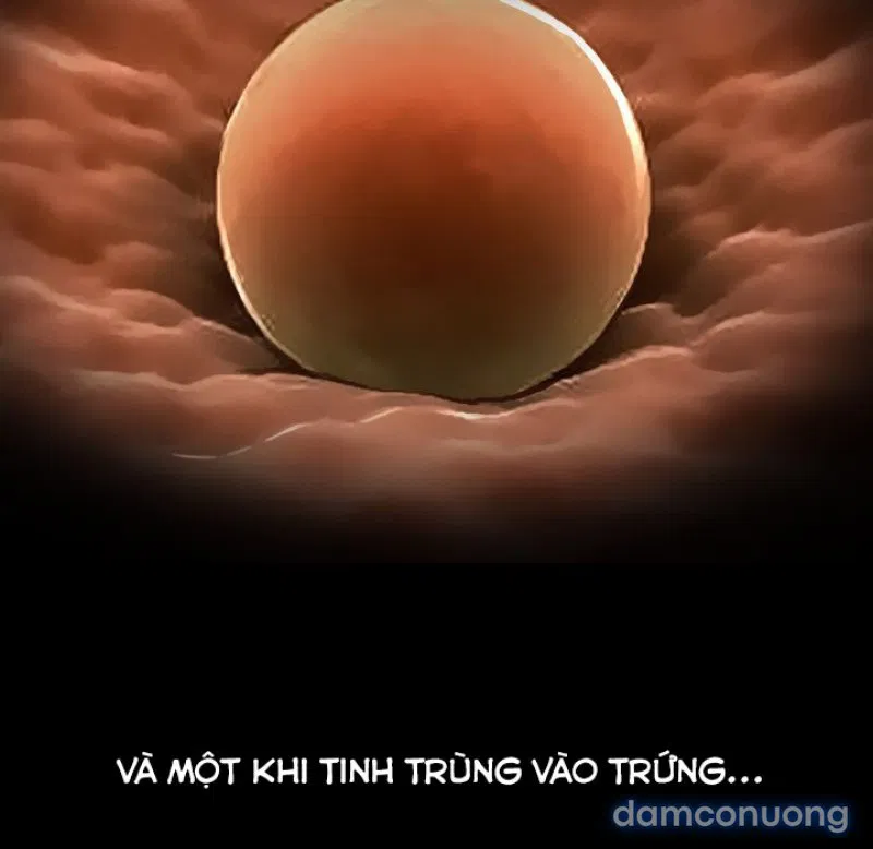 Lòng chung thủy 
