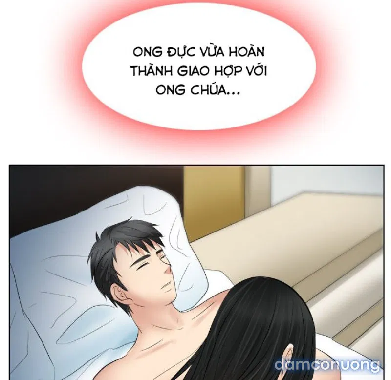 Lòng chung thủy 