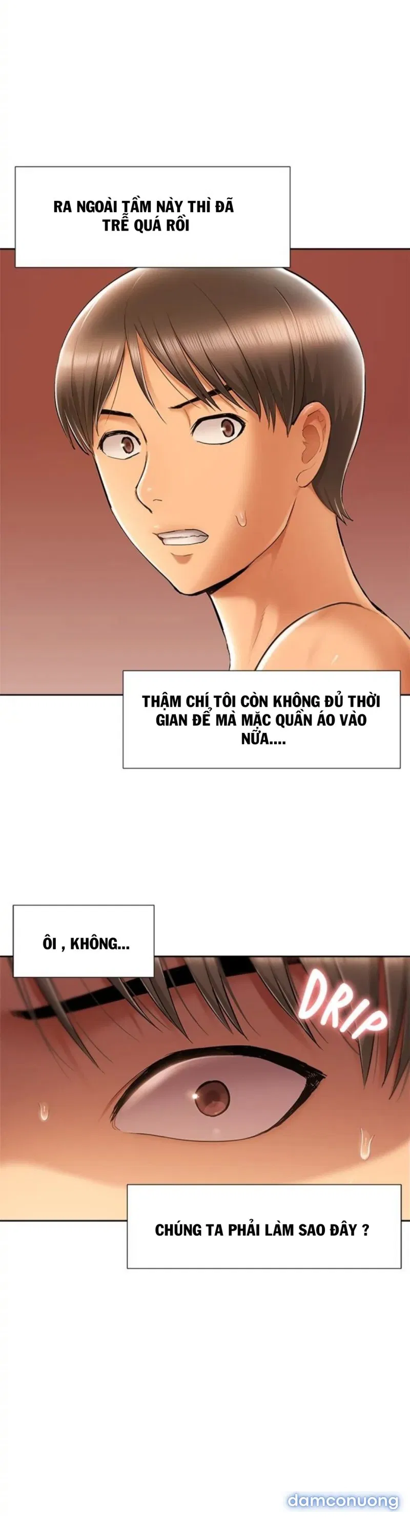Song Sinh Trụy Lạc 