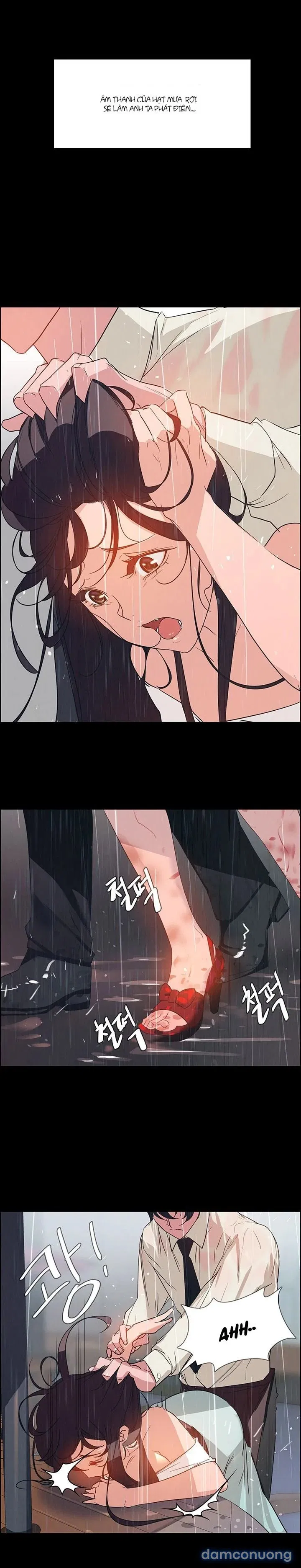 Rain Curtain 