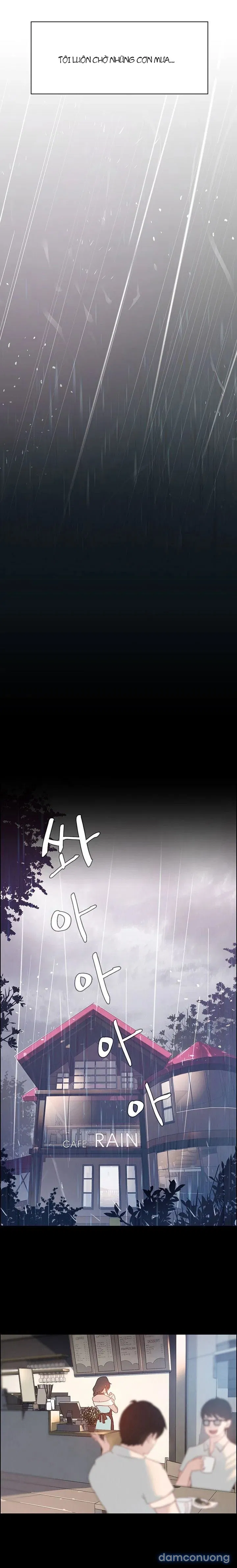 Rain Curtain 