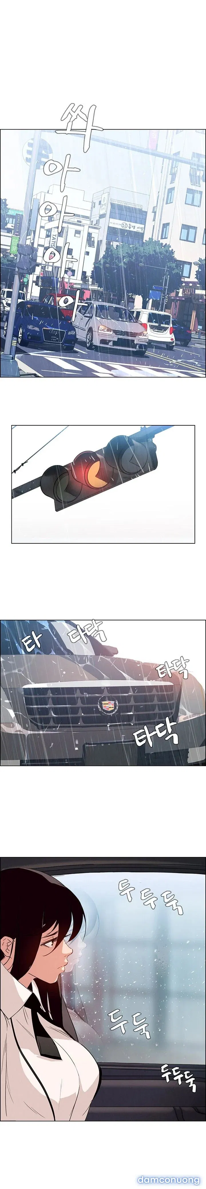 Rain Curtain 