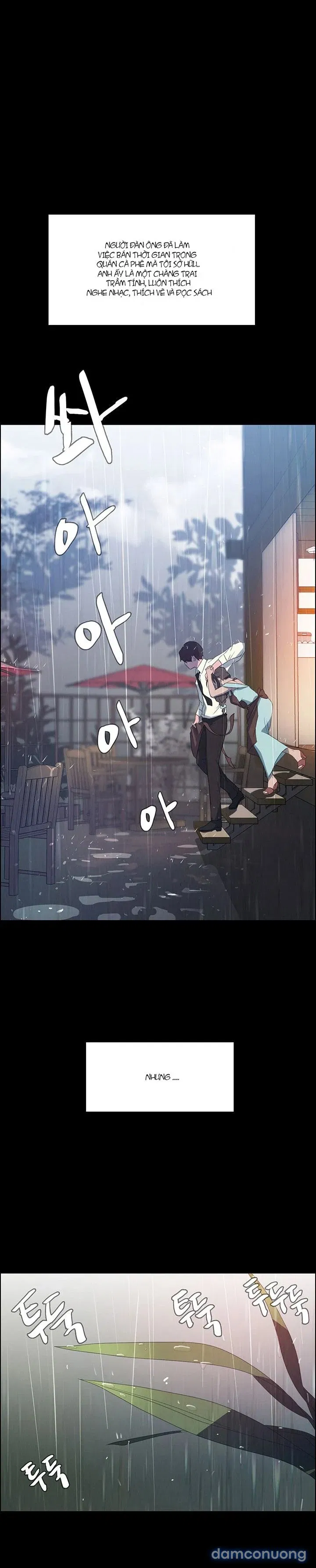 Rain Curtain 