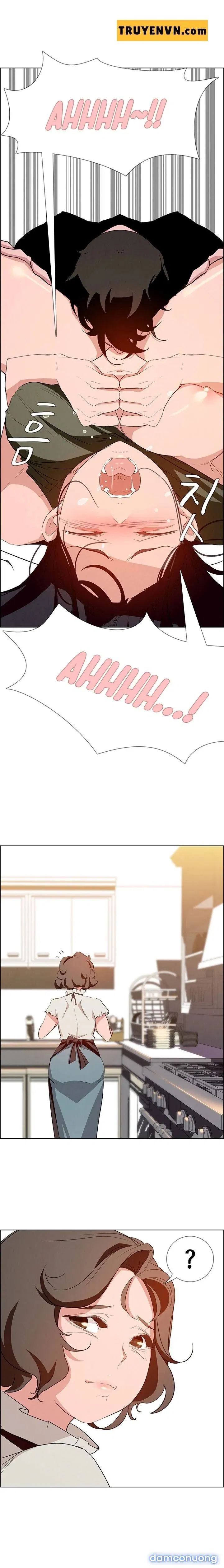 Rain Curtain 
