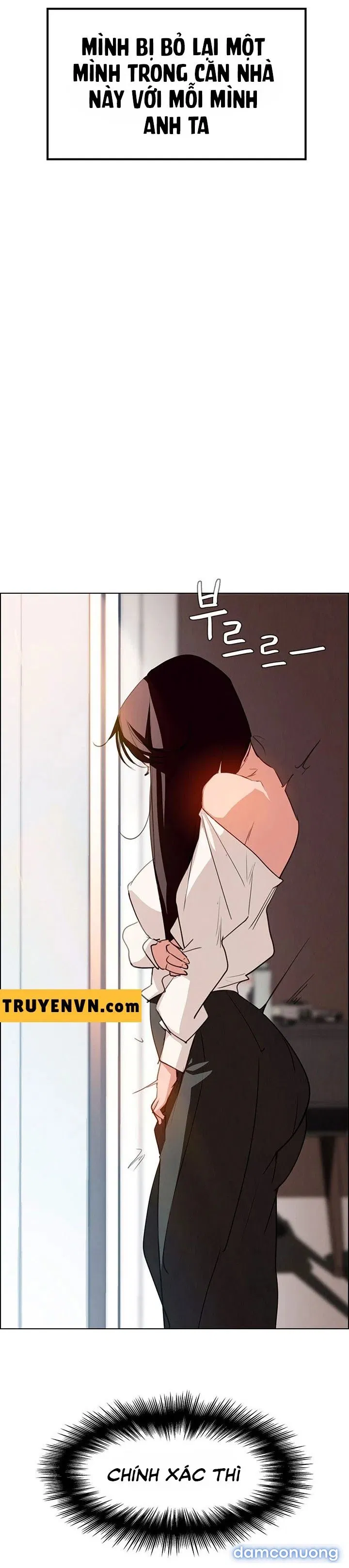 Rain Curtain 