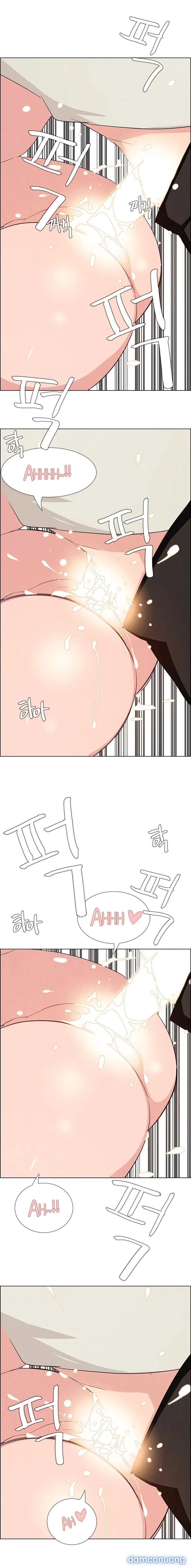 Rain Curtain 