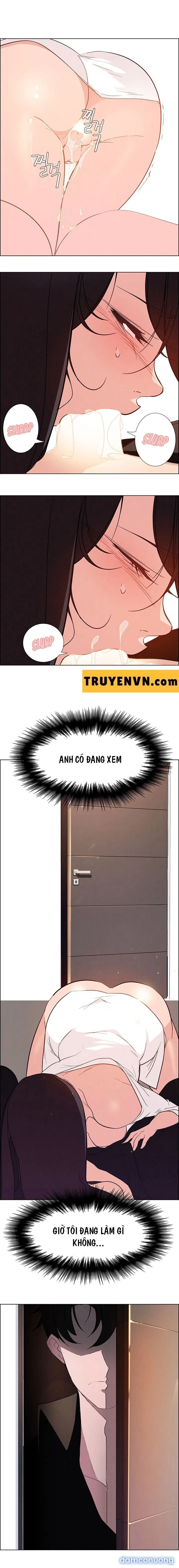 Rain Curtain 