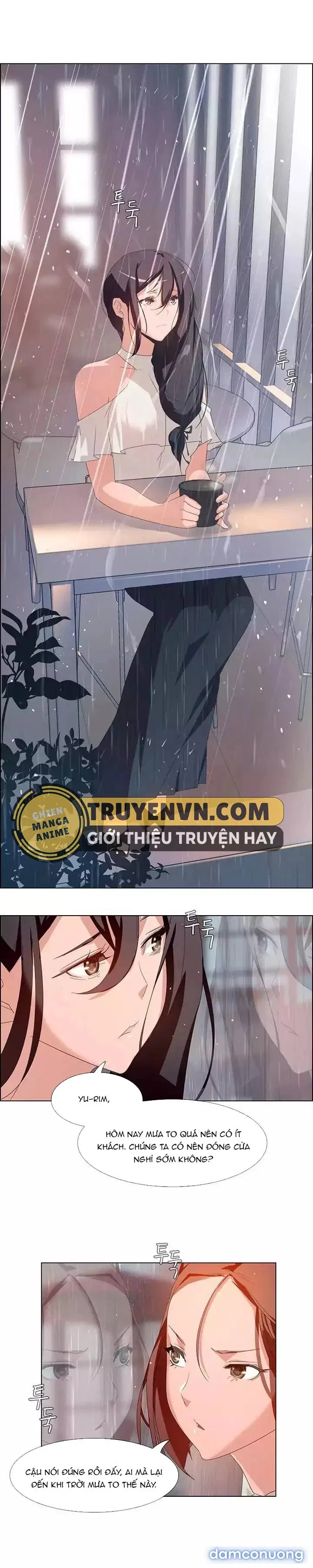 Rain Curtain 