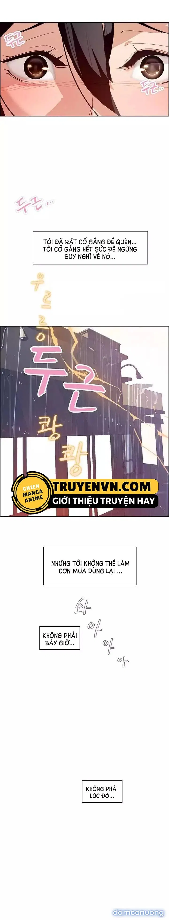 Rain Curtain 