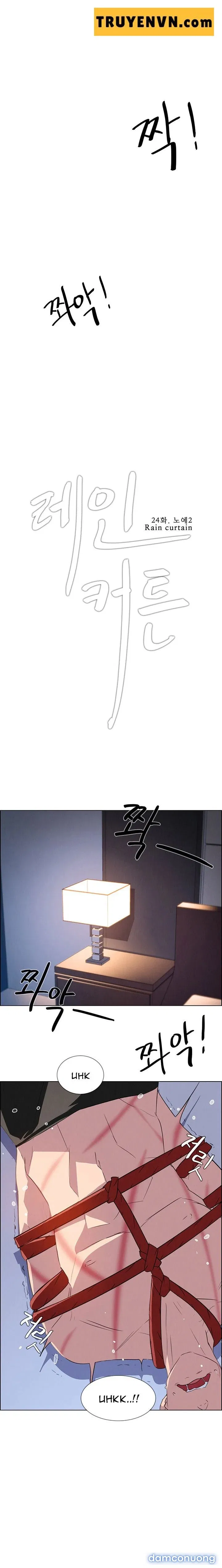 Rain Curtain 