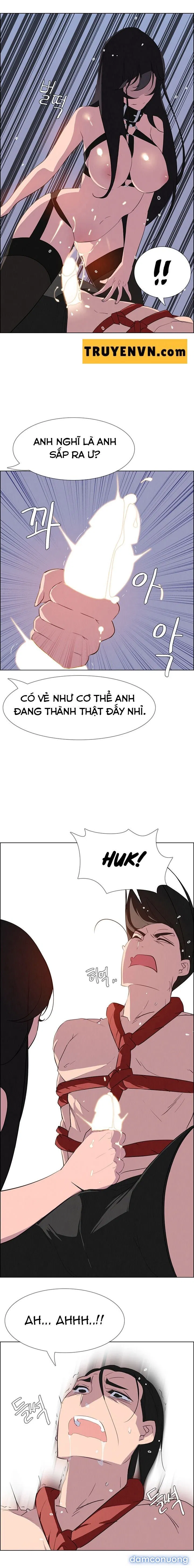 Rain Curtain 
