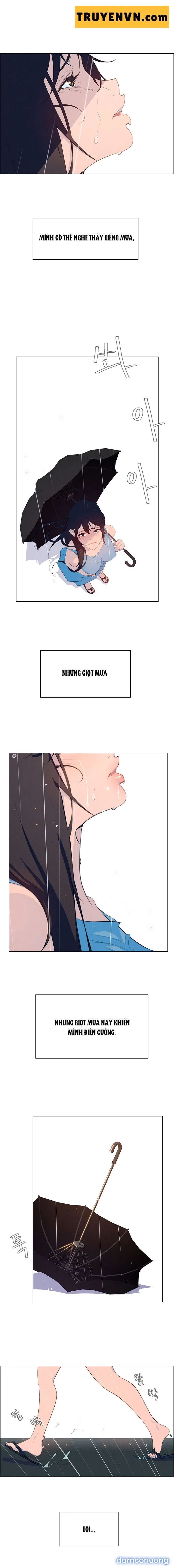 Rain Curtain 