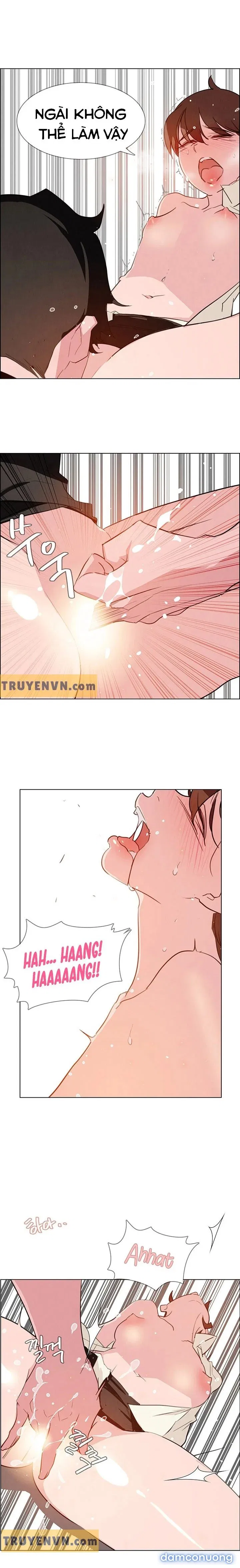 Rain Curtain 