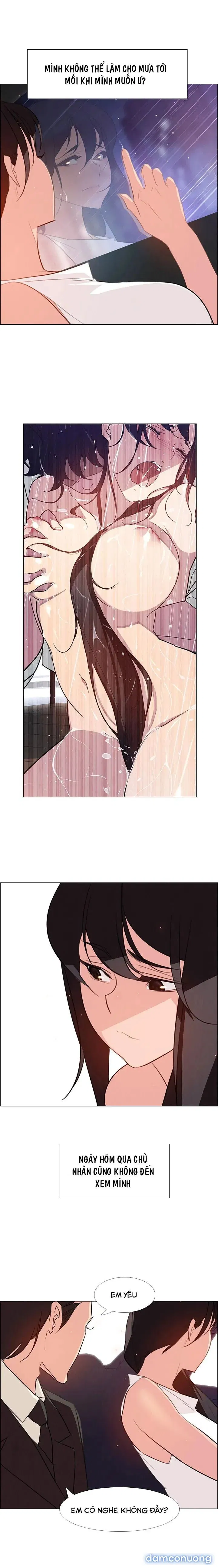 Rain Curtain 
