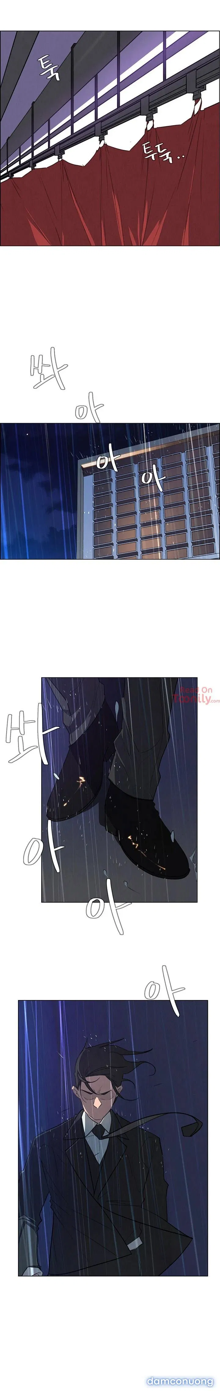 Rain Curtain 
