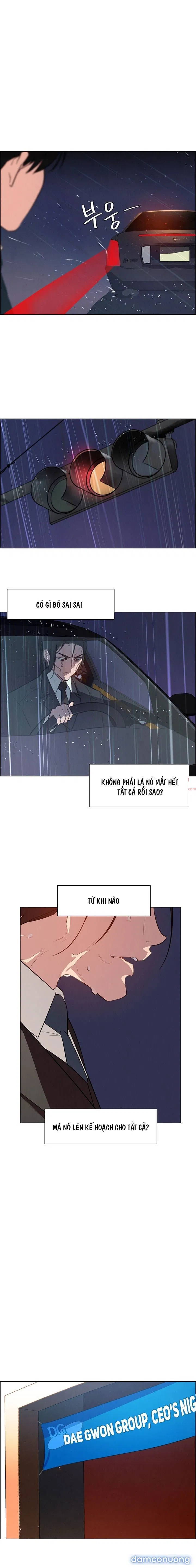 Rain Curtain 
