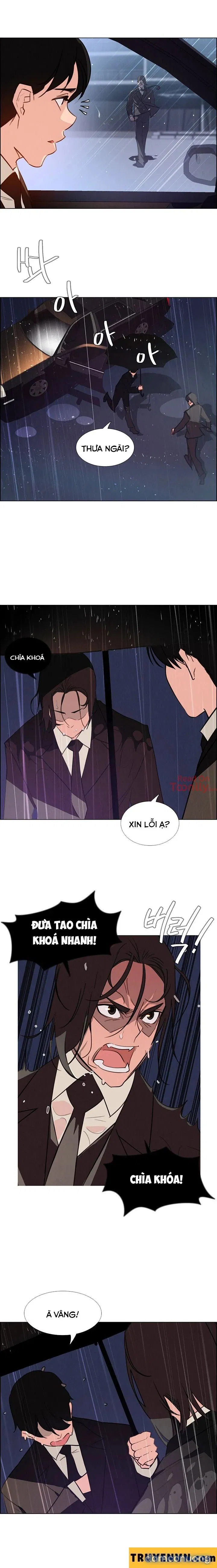 Rain Curtain 