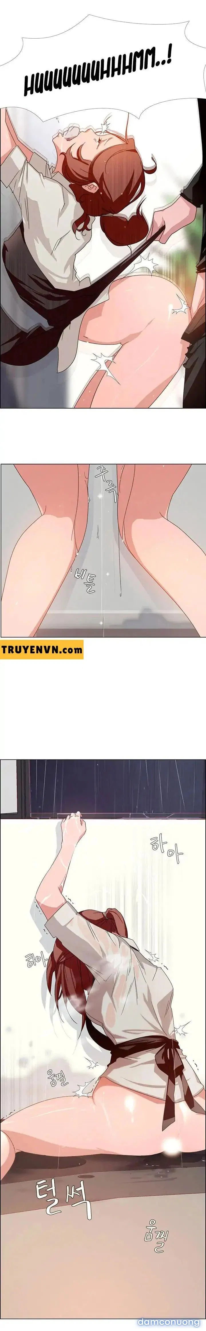 Rain Curtain 