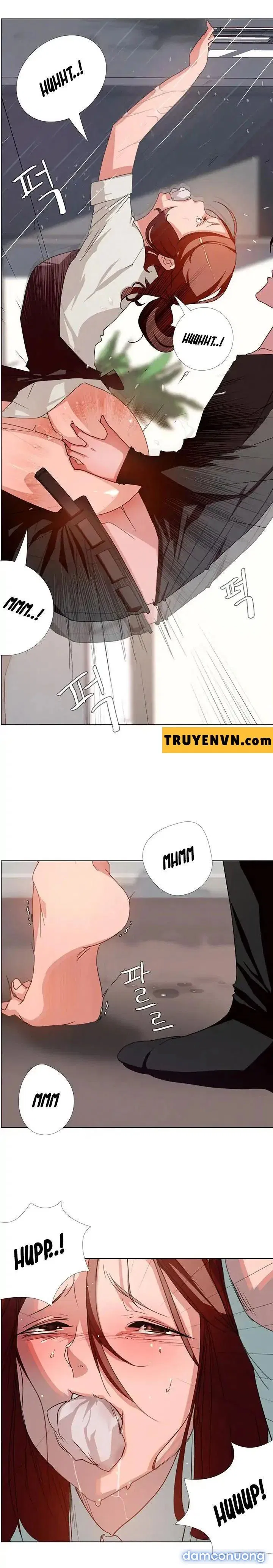 Rain Curtain 