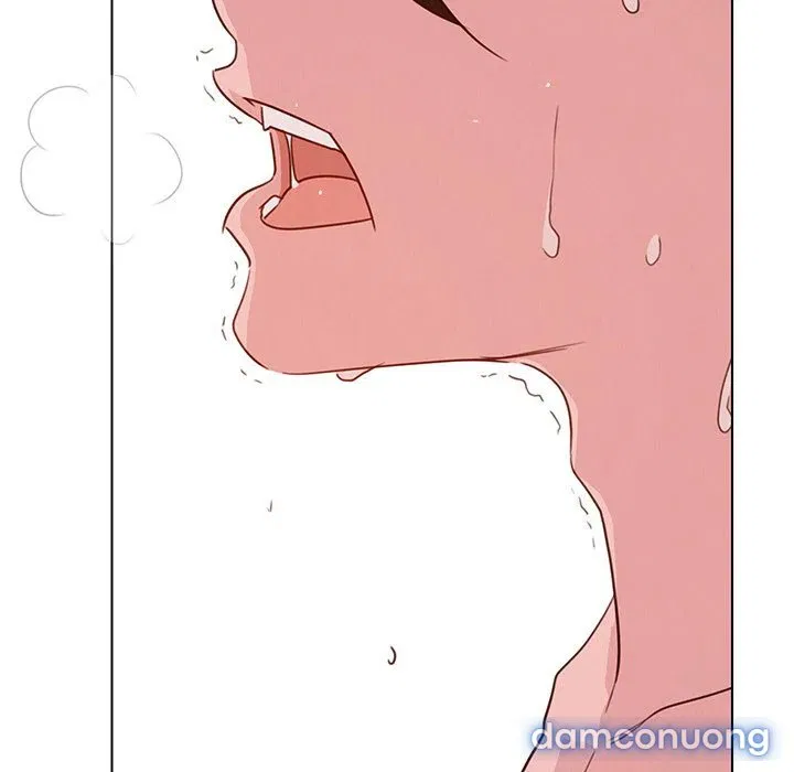 Rain Curtain 