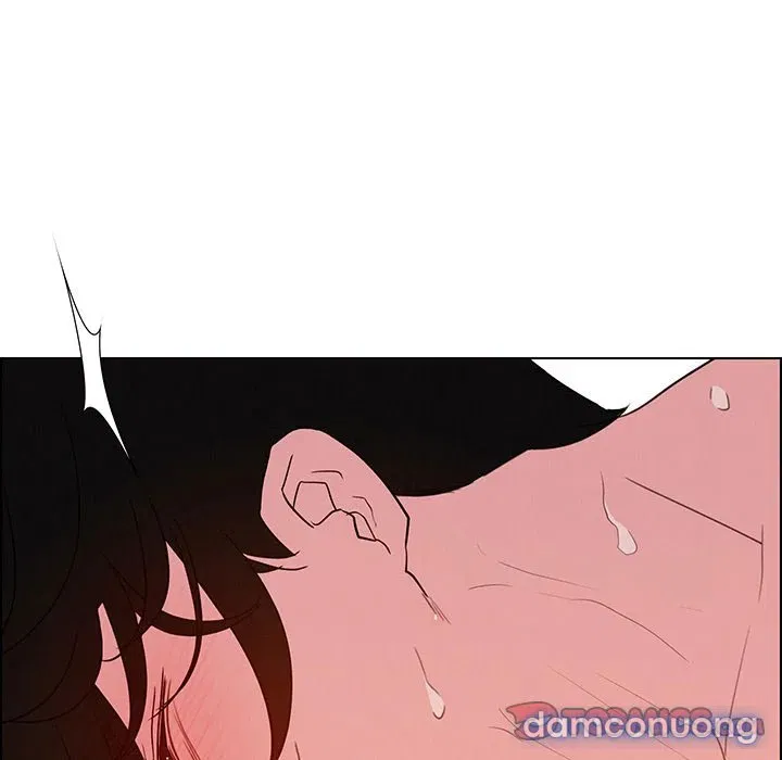 Rain Curtain 