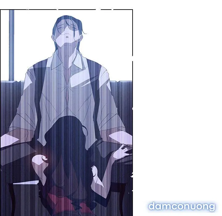 Rain Curtain 