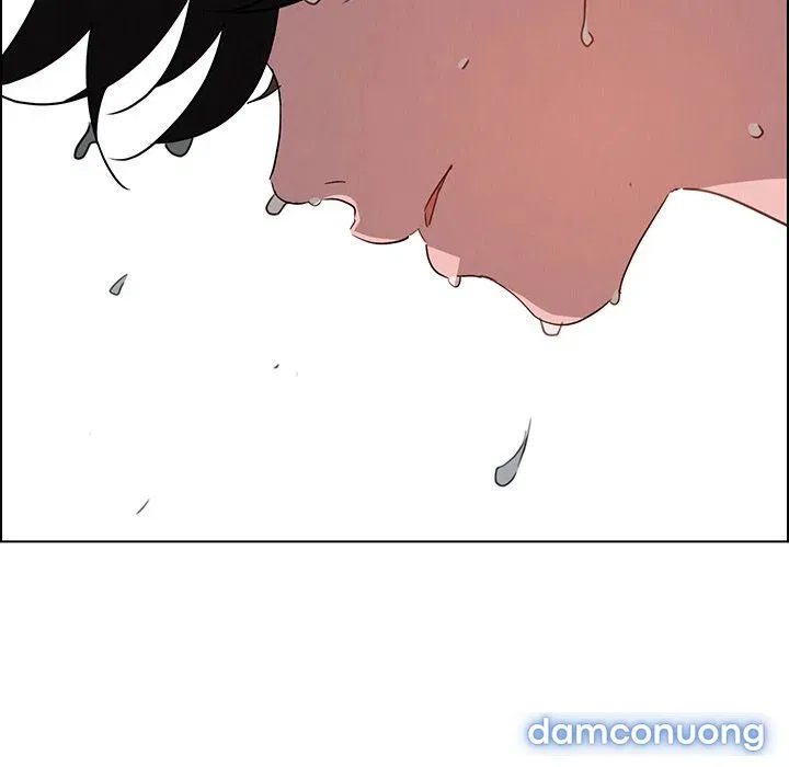 Rain Curtain 