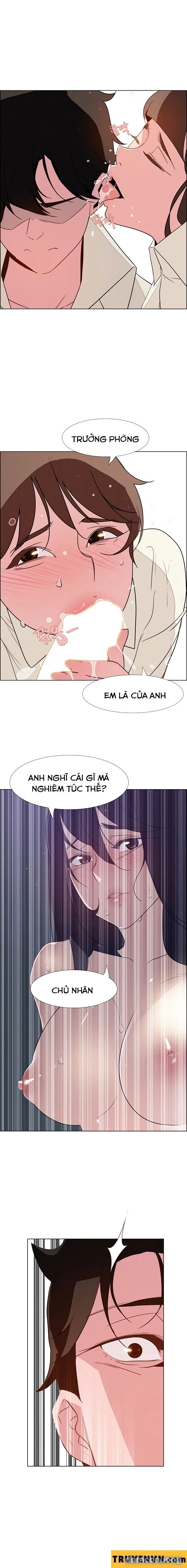 Rain Curtain 