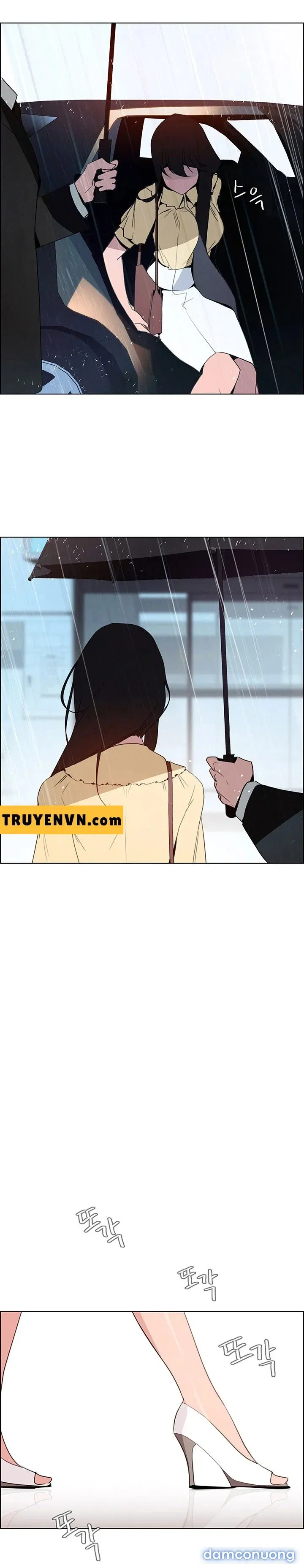 Rain Curtain 