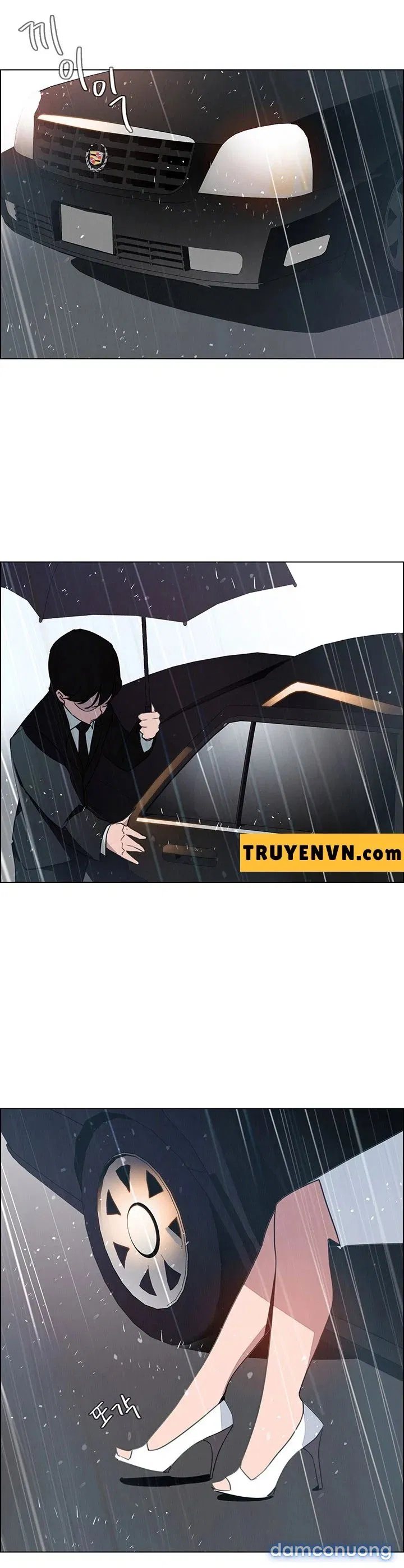 Rain Curtain 
