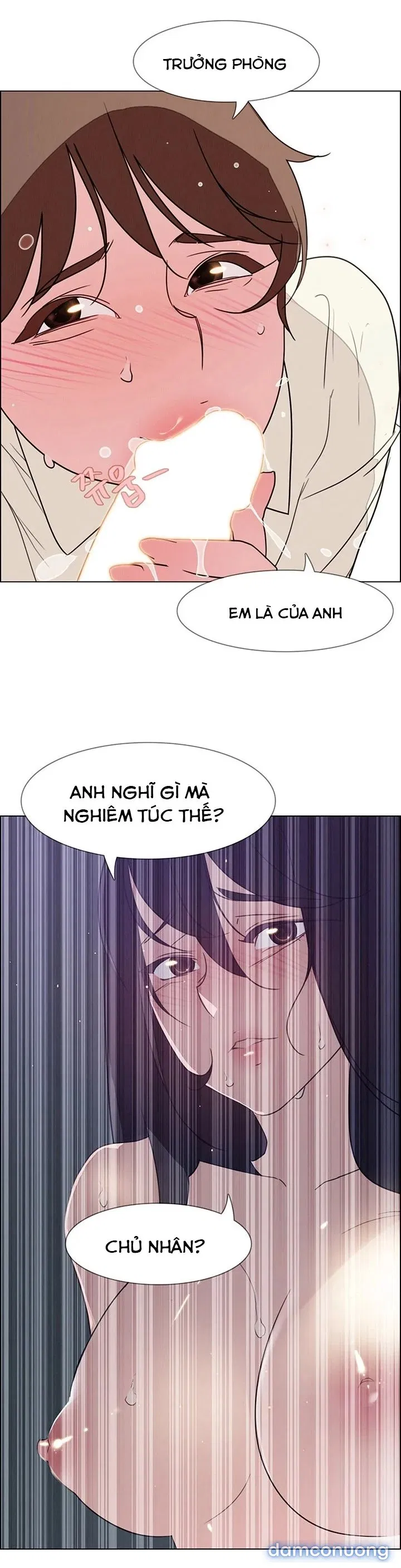Rain Curtain 