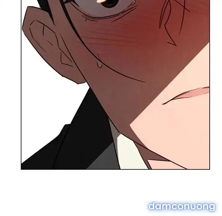 Rain Curtain 