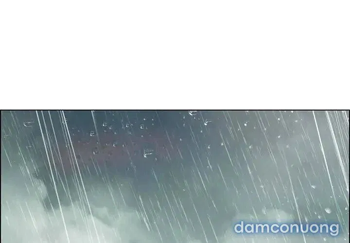 Rain Curtain 
