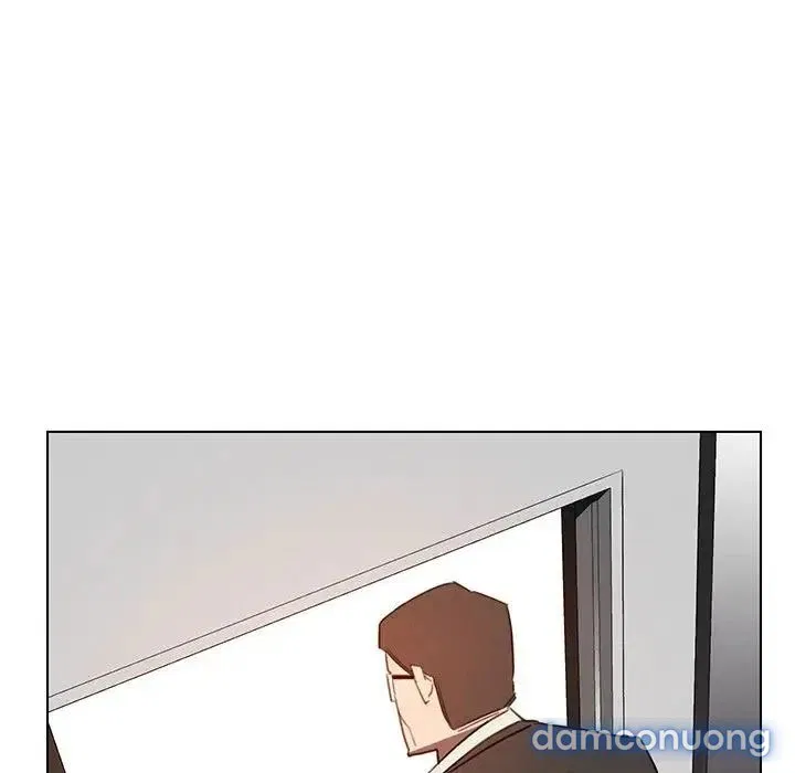 Rain Curtain 