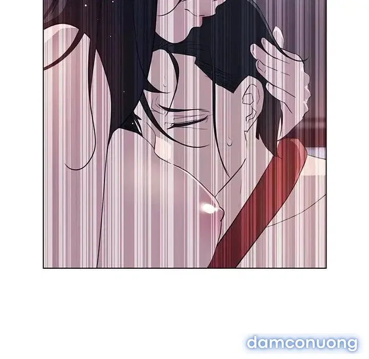 Rain Curtain 