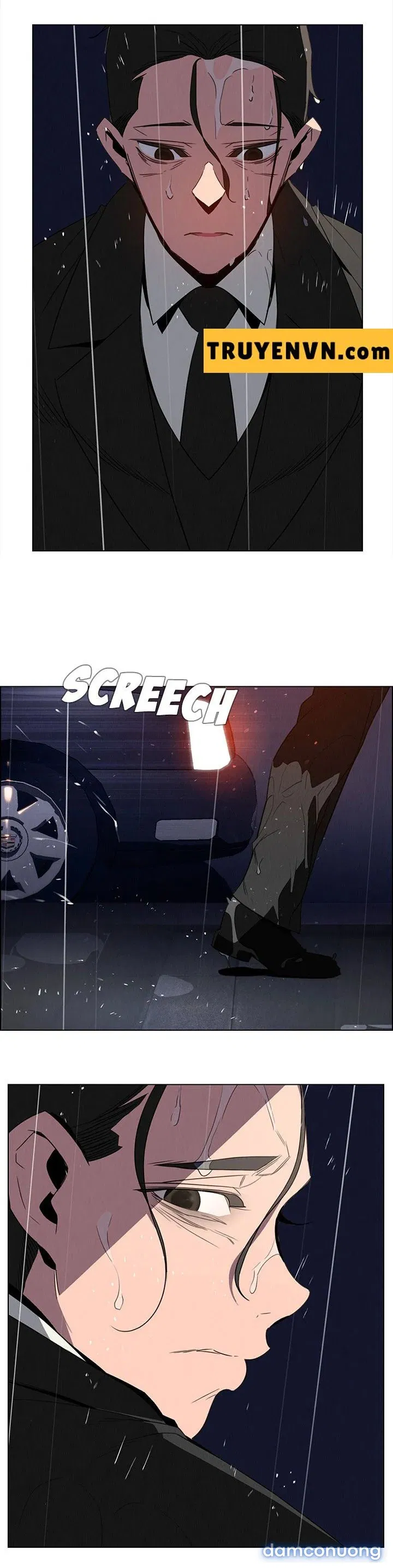 Rain Curtain 